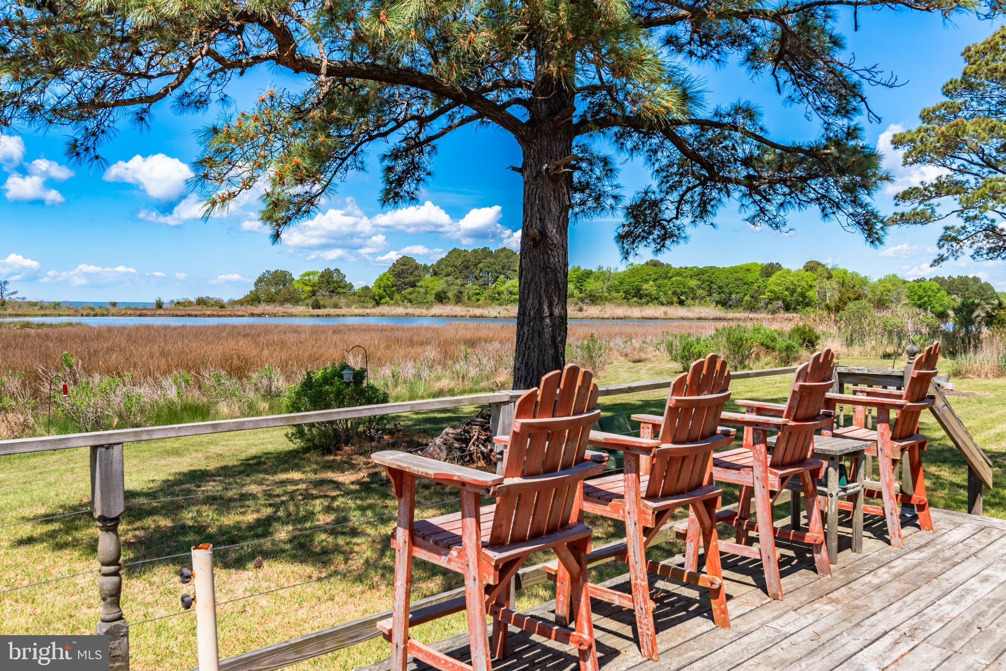 23212 Haines Point Road Chance, MD 21821 - Photo 9 of 57 Front deck views