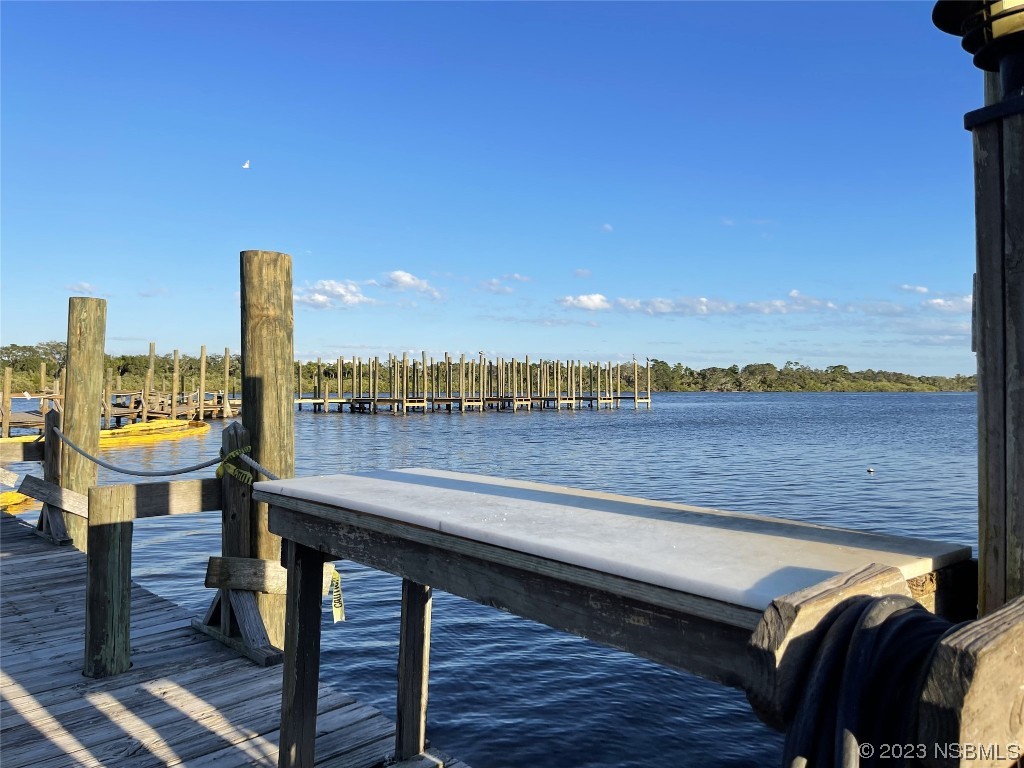 4389 Maple Avenue Edgewater, FL 32141 - Photo 42 of 58