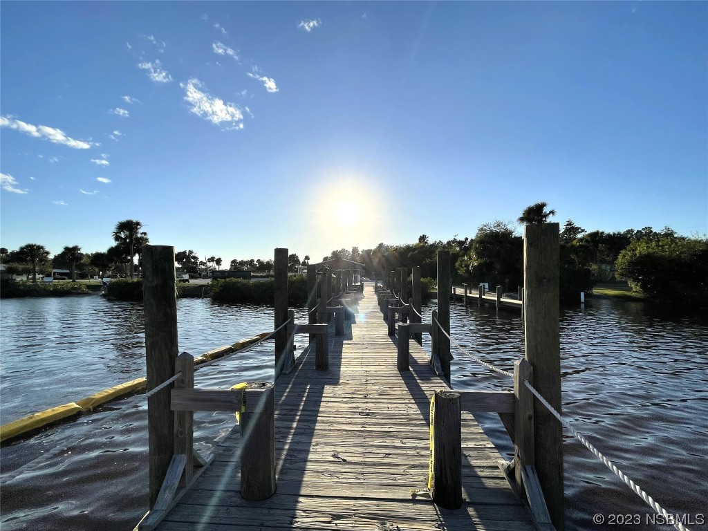 4389 Maple Avenue Edgewater, FL 32141 - Photo 45 of 58