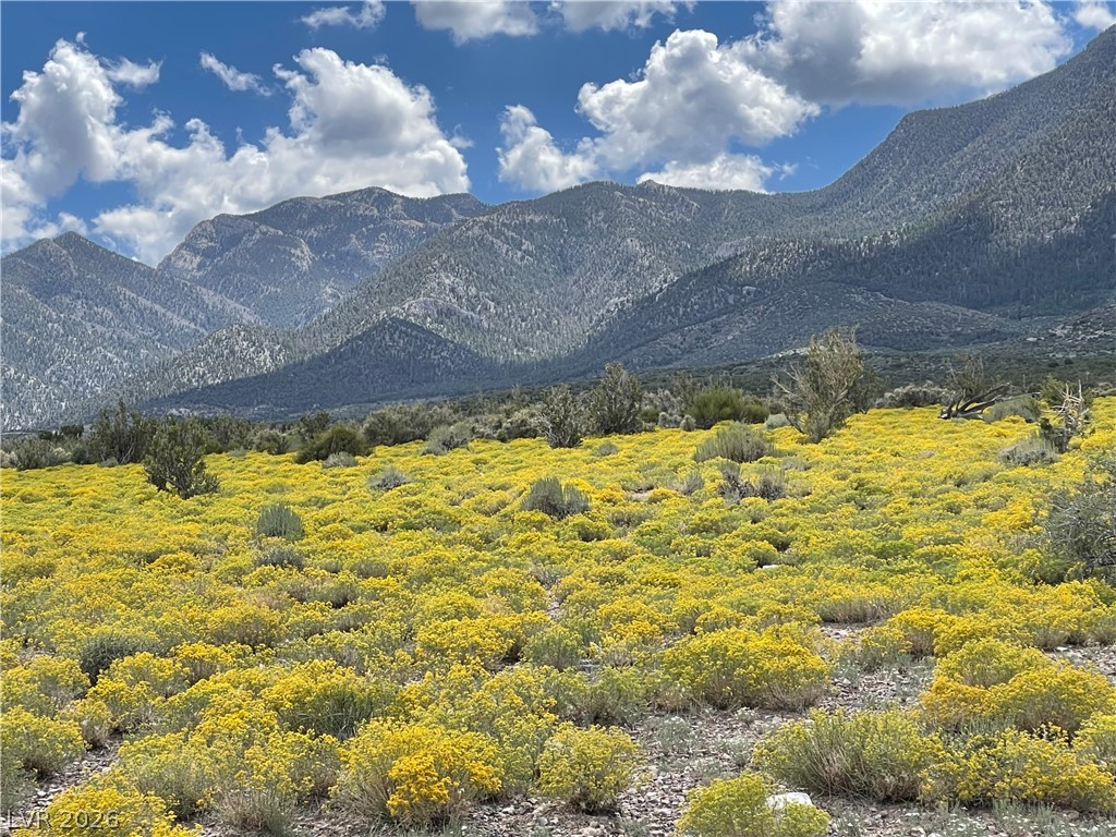 52 Birch Spring Cold Creek, NV 89124 - Photo 39 of 43 Welcome to Cold Creek