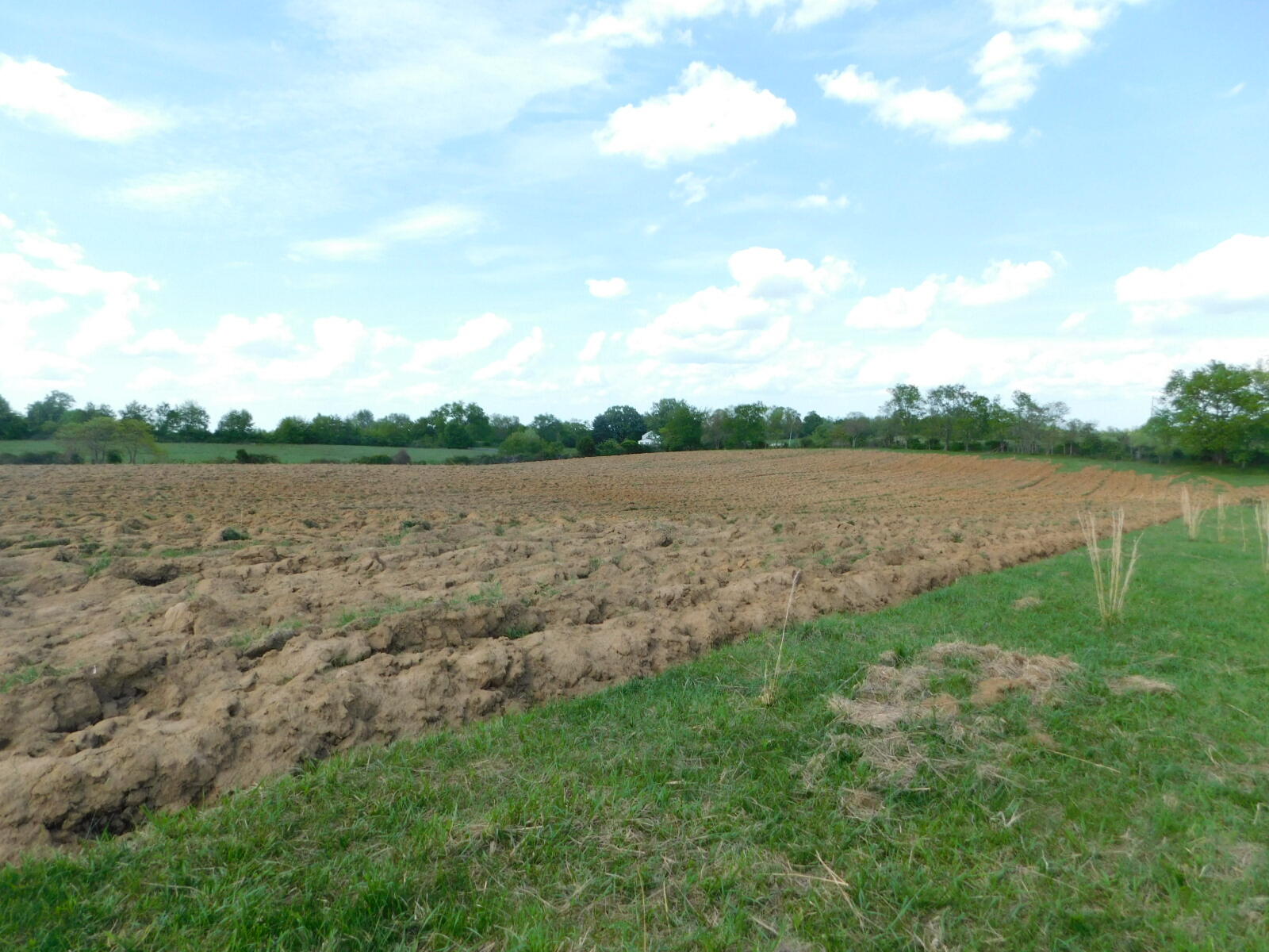 0 Robinson Road Cynthiana, KY 41031 - Photo 15 of 15 Gallery Image 15