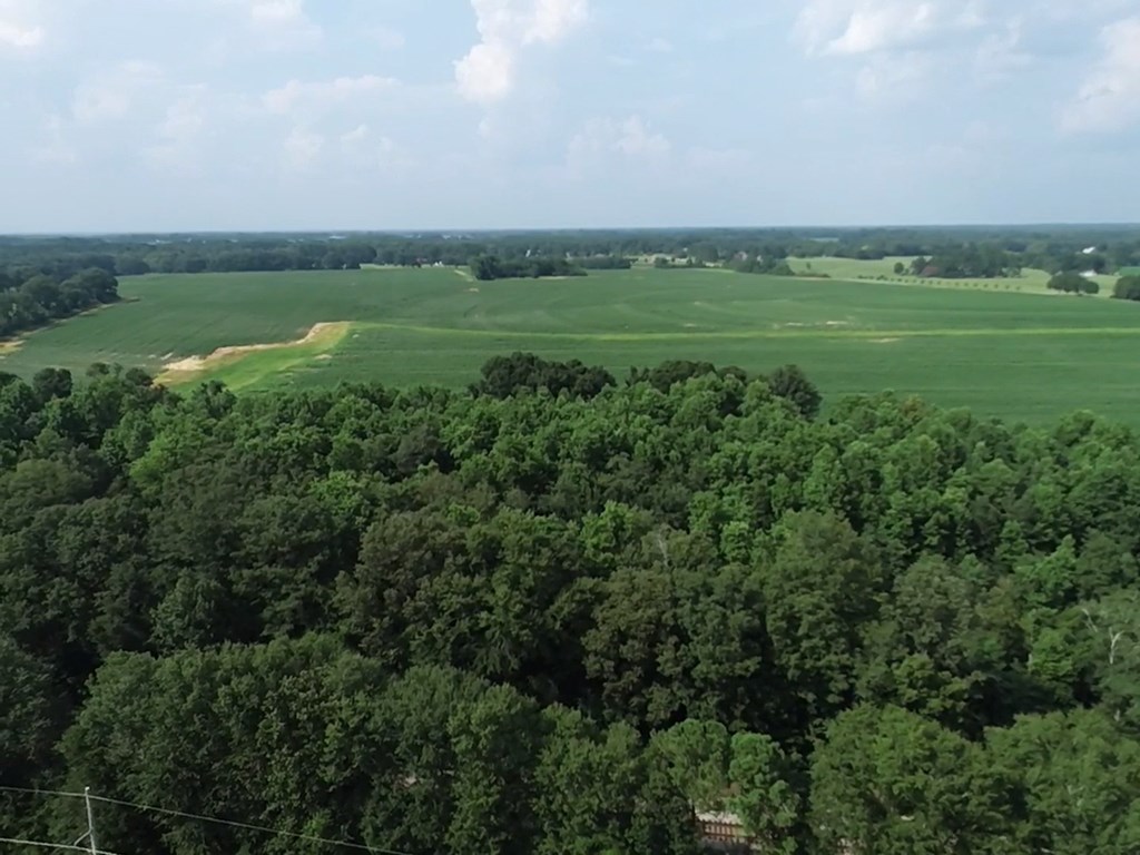 132.3-ac Green Road Dothan, AL 36303 - Photo 31 of 63
