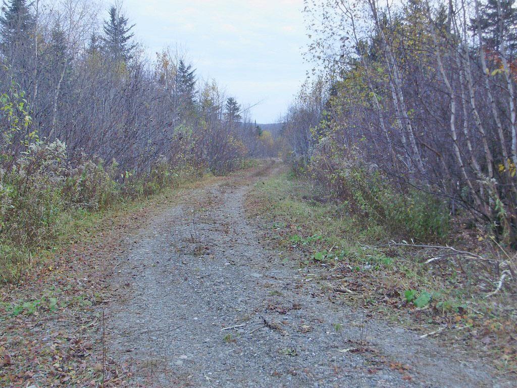 Lot 3-17 Tar Ridge Road Springfield, ME 04487 - Photo 1 of 6 Photo