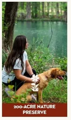 $536,830 | 22214 Junction Peak Drive, Porter, TX 77365