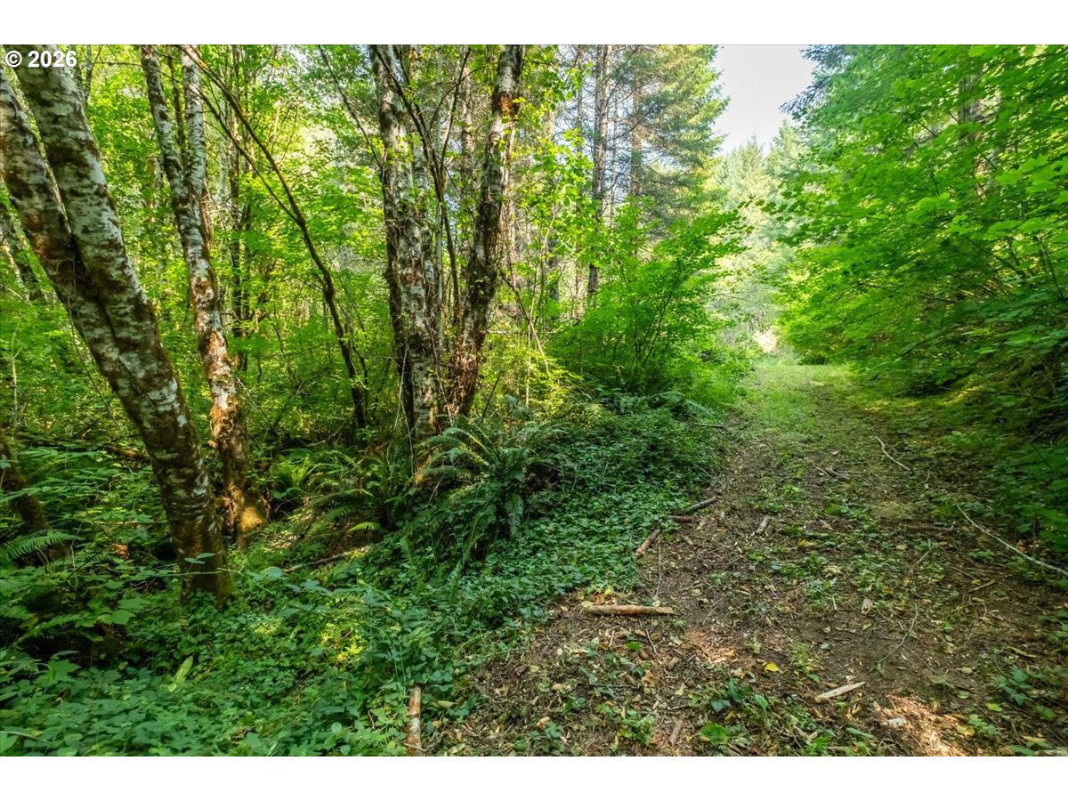 41662 Grover Road Blodgett, OR 97326 - Photo 11 of 20 Gallery Image 11