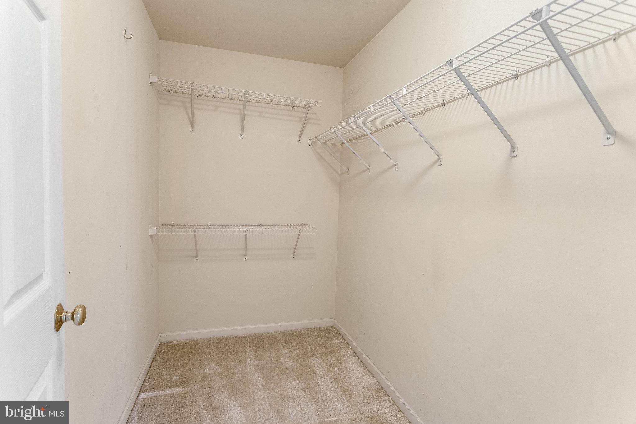 5608 Wheelwright Way Haymarket, VA 20169 - Photo 23 of 88 Large walk in closet in primary