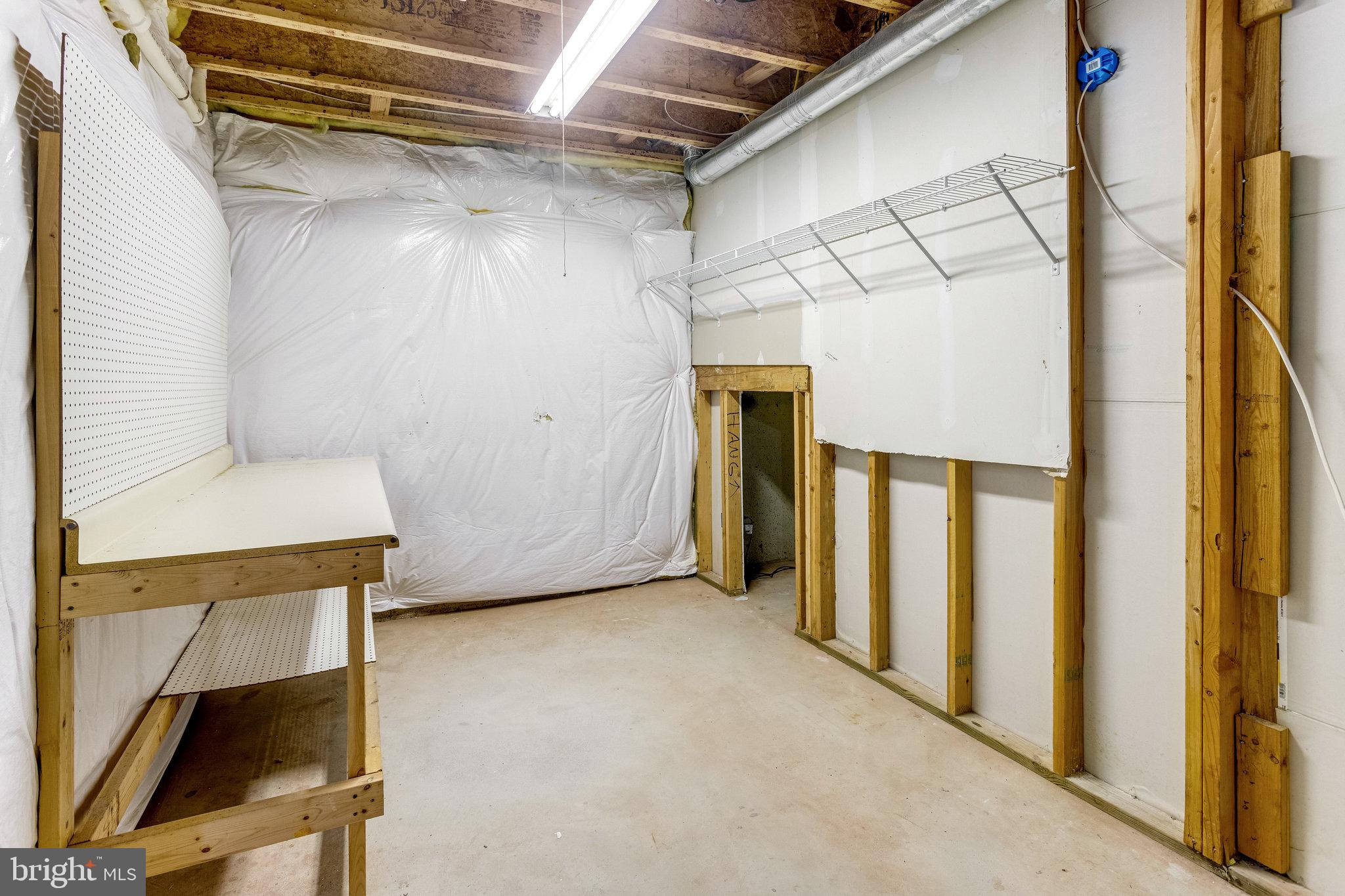 5608 Wheelwright Way Haymarket, VA 20169 - Photo 38 of 88 Unfinished storage