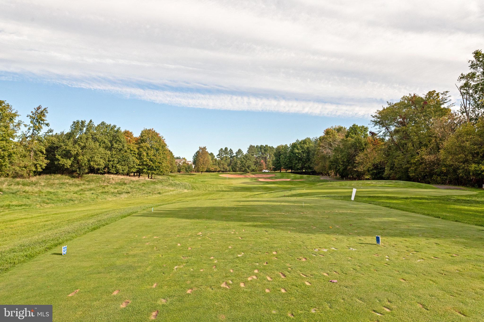 5608 Wheelwright Way Haymarket, VA 20169 - Photo 44 of 88 17th tee box view from rear of home