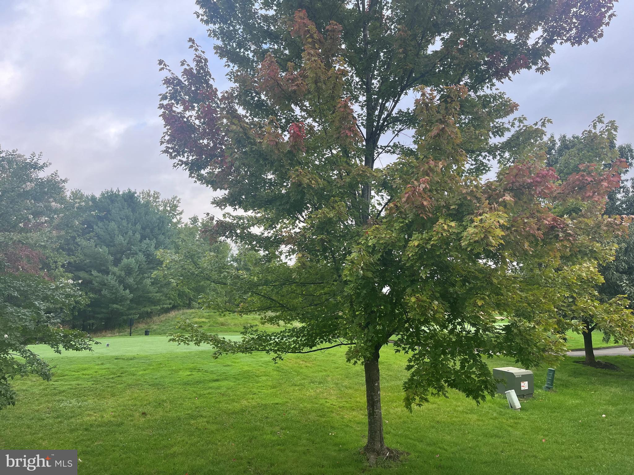 5608 Wheelwright Way Haymarket, VA 20169 - Photo 46 of 88 Rear view from deck