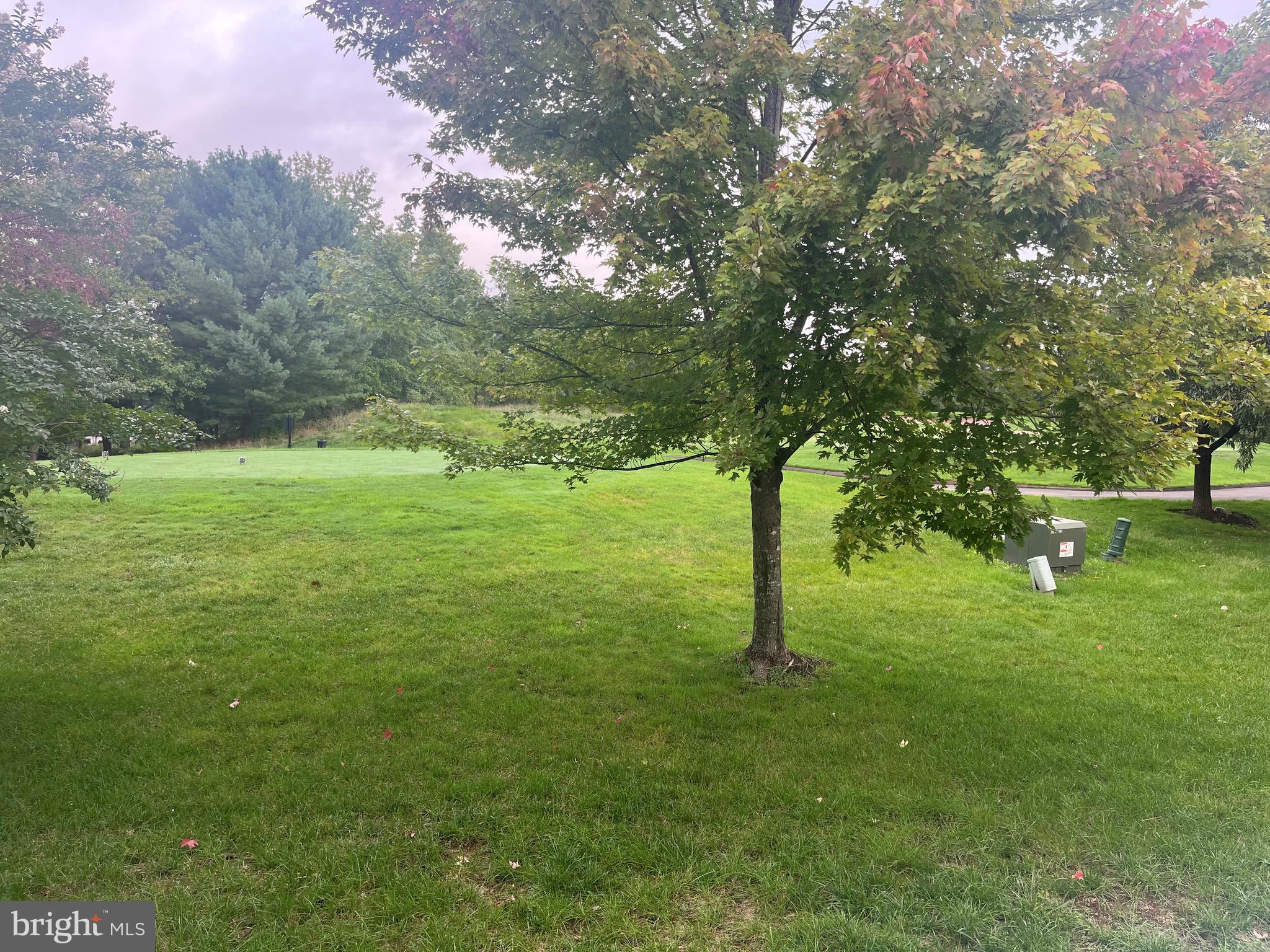 5608 Wheelwright Way Haymarket, VA 20169 - Photo 47 of 88 Full view of 17th hole