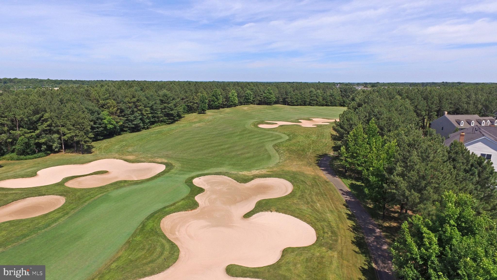 5608 Wheelwright Way Haymarket, VA 20169 - Photo 54 of 88 Aerial view of golf hole