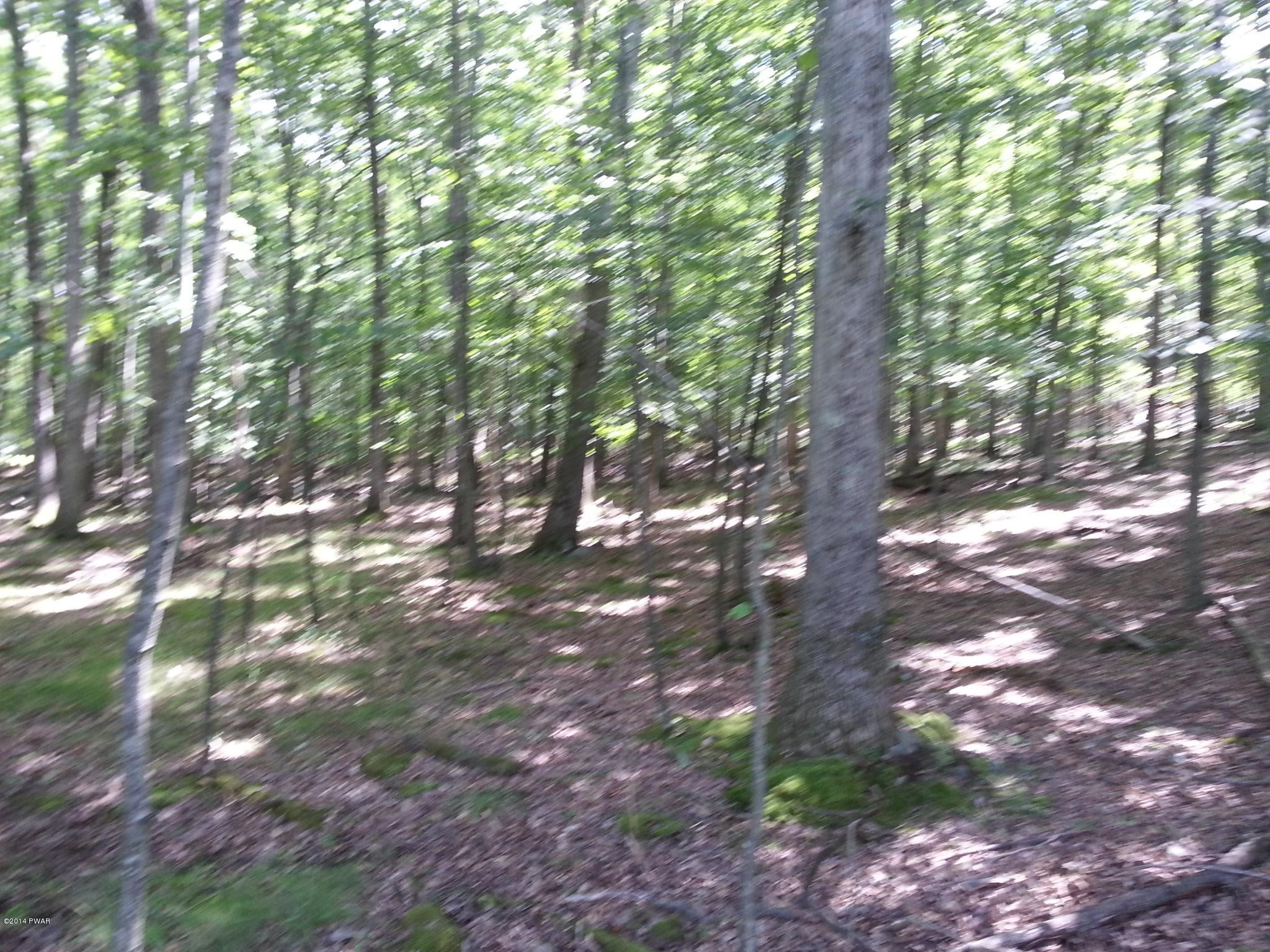 220 Oak Hill Road Hawley, PA 18428 - Photo 7 of 7