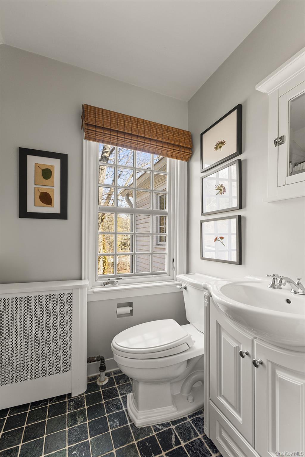 147 Valley Stream Road East Larchmont, NY 10538 - Photo 29 of 37 a bathroom with a sink mirror bathtub and toilet