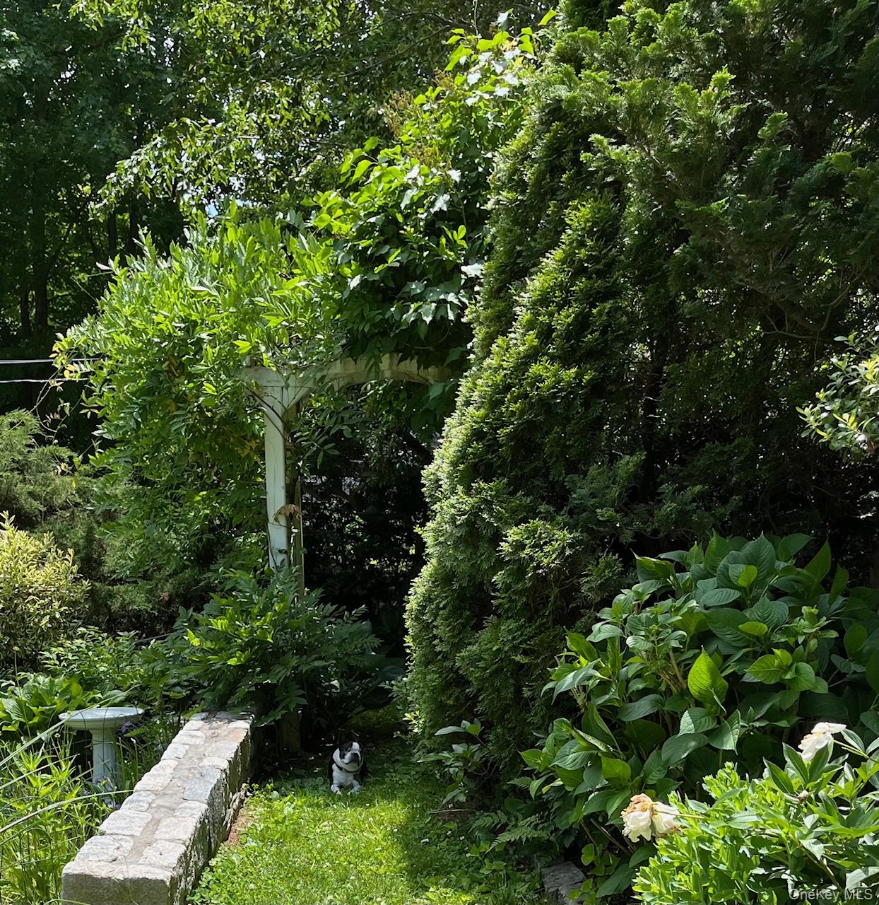 147 Valley Stream Road East Larchmont, NY 10538 - Photo 33 of 37 a view of a garden