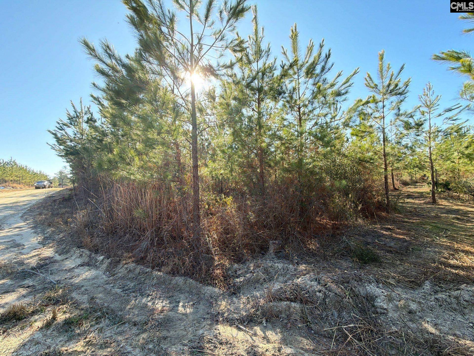 8 Brunson Teal Road, Unit BFF II 8 Patrick, SC 29584 - Photo 21 of 25