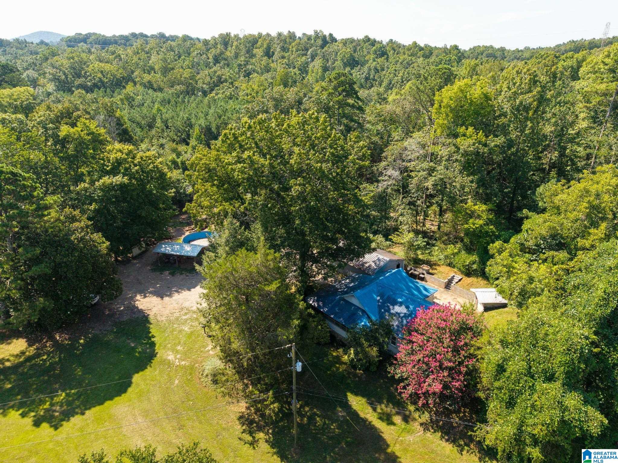 5249 Clay-Palmerdale Road Pinson, AL 35126 - Photo 36 of 43