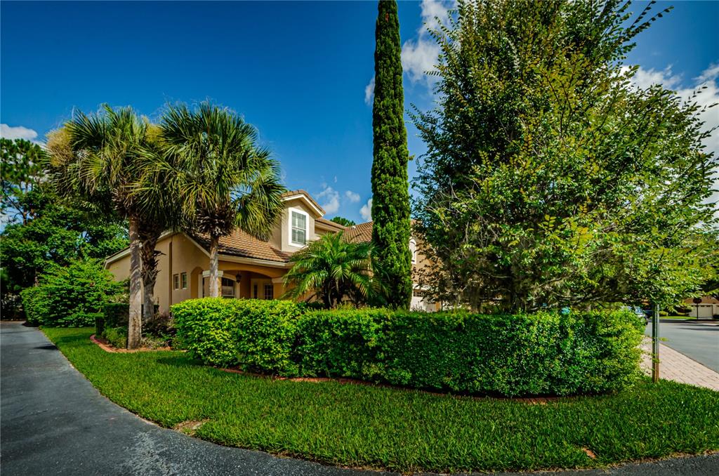 1901 Paw Paw Place Trinity, FL 34655 - Photo 1 of 1