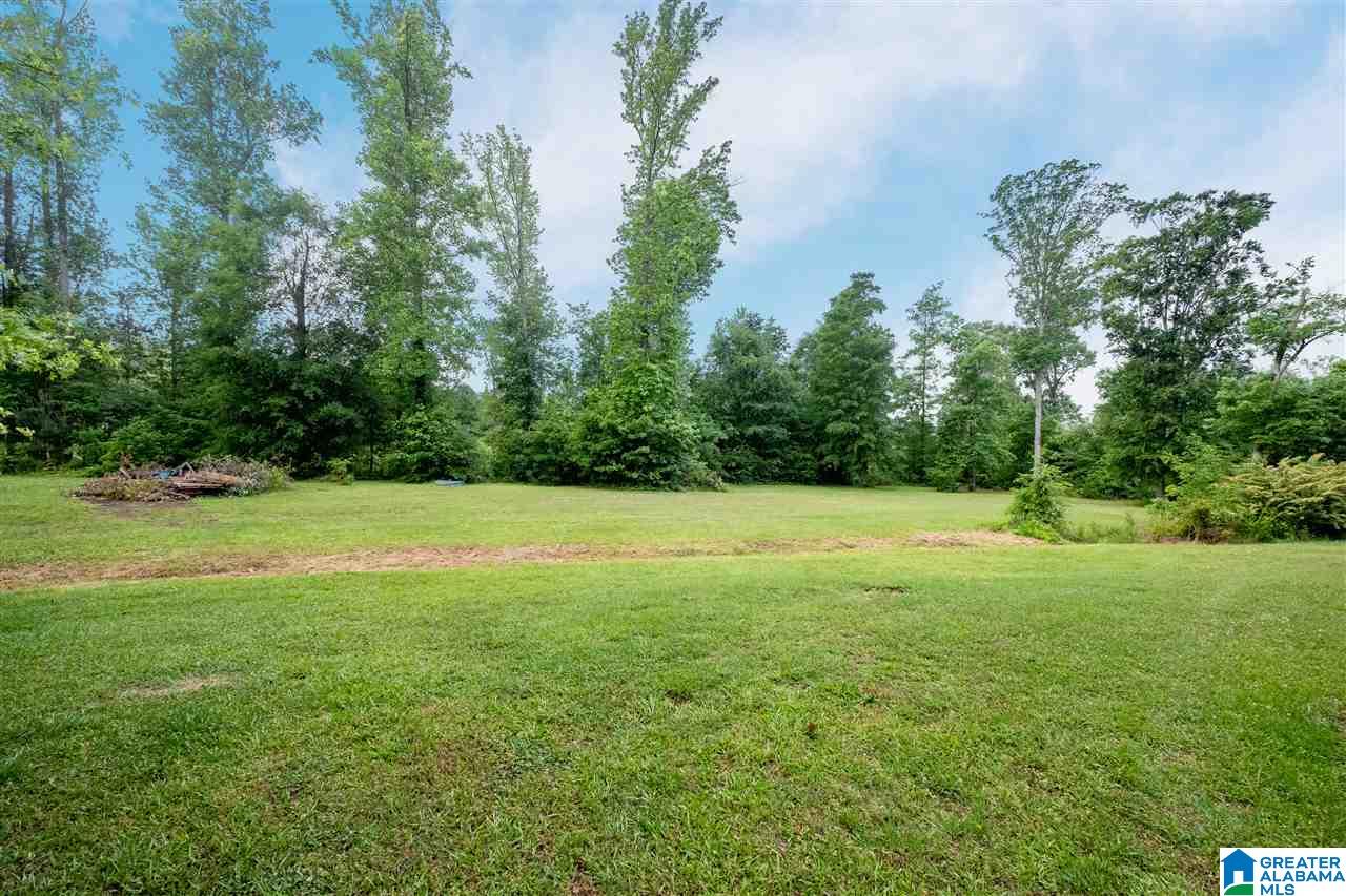 649 McCrory Road Odenville, AL 35120 - Photo 2 of 24