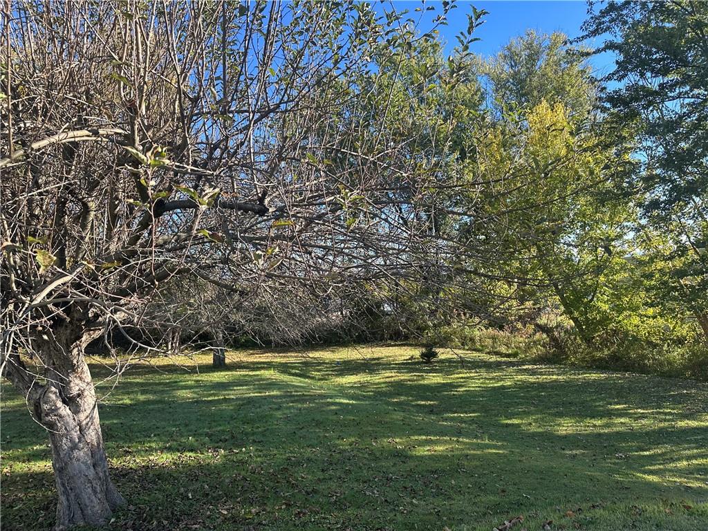 905 Terrace Drive Latrobe, PA 15650 - Photo 2 of 13 a view of outdoor space with trees all around