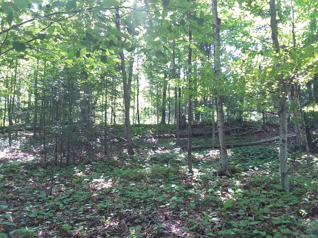 Tbd Lake Shore Road Sturgeon Bay, WI 54235 - Photo 11 of 13