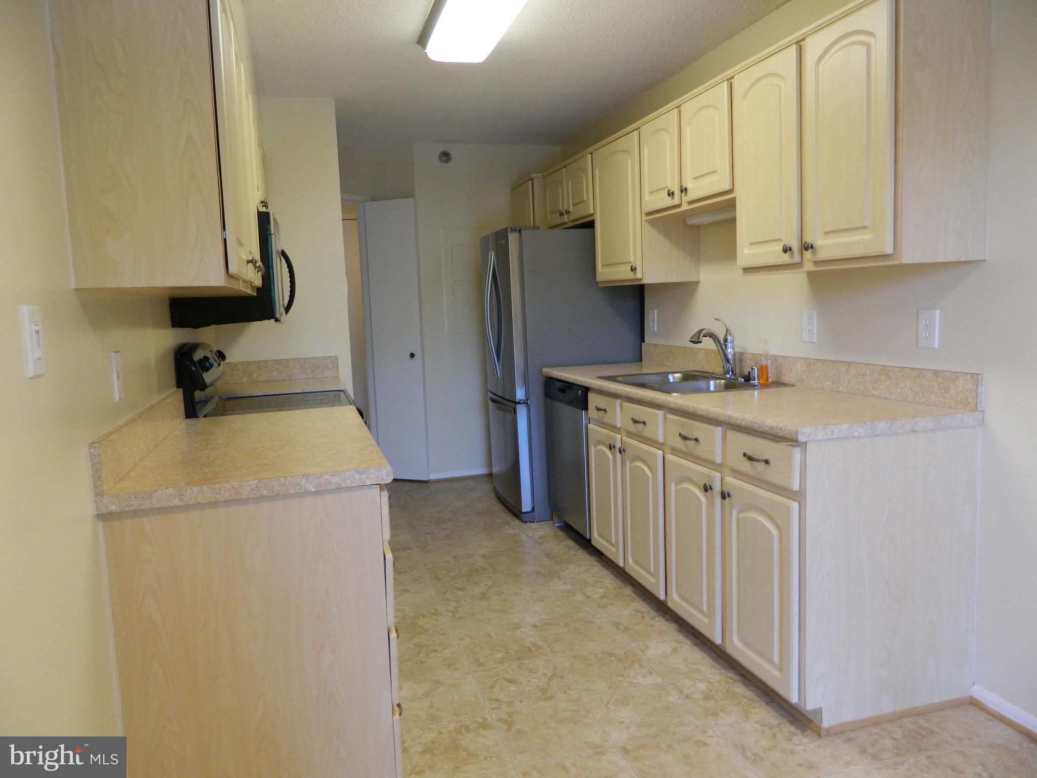 15100 Interlachen Drive, Unit 4521 Silver Spring, MD 20906 - Photo 13 of 27 Lots of Storage in Kitchen