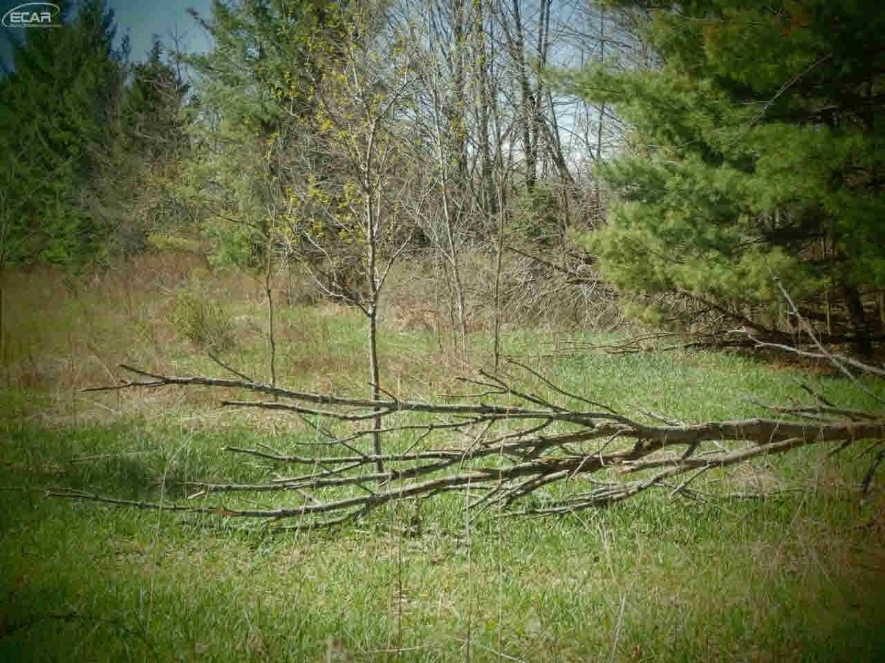 11278 Cook Road Gaines, MI 48436 - Photo 23 of 38