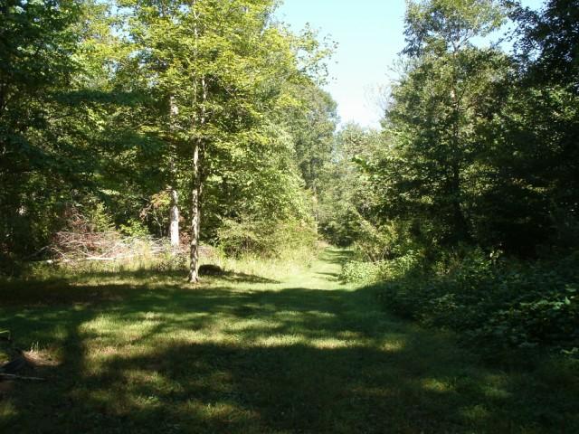 1498 North White Oak Road, Unit 4 Waverly, TN 37185 - Photo 3 of 9 Entrance to cabin.