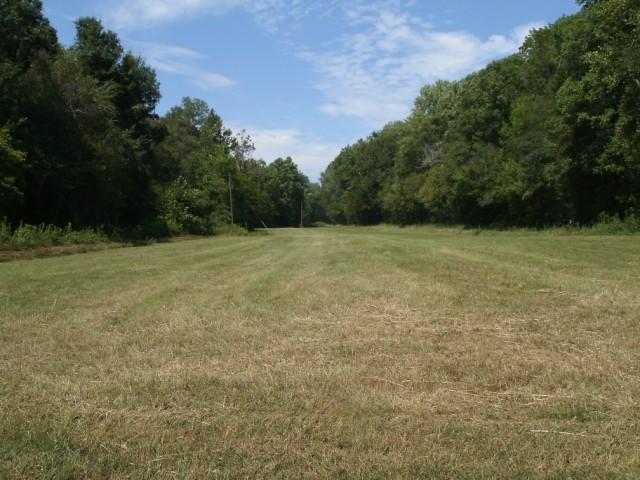 1498 North White Oak Road, Unit 4 Waverly, TN 37185 - Photo 6 of 9 Gallery Image 6
