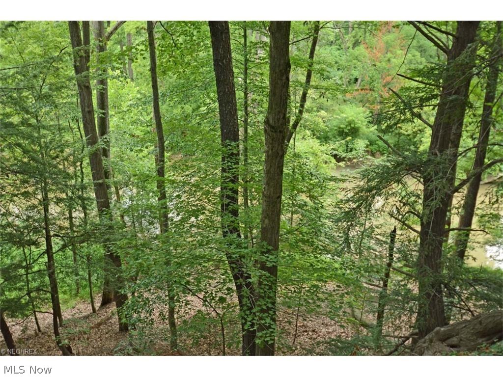 11666 River Ridge Road Strongsville, OH 44136 - Photo 26 of 28 Gallery Image 26
