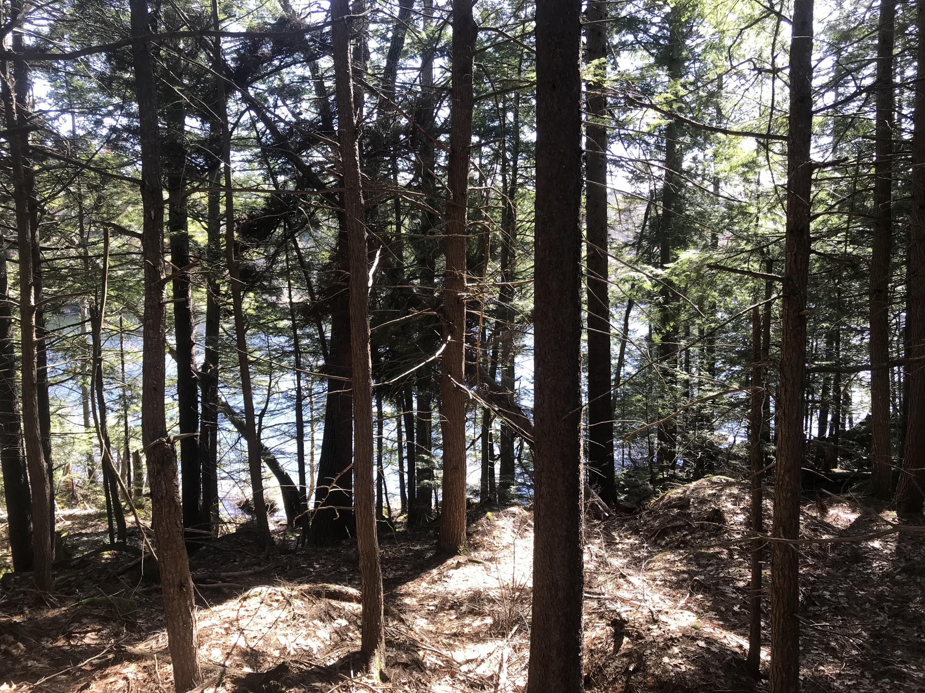 0 Fitts Mountain Road Dedham, ME 04429 - Photo 11 of 83 3MsrypuGSKOIAwkwBdFM2w