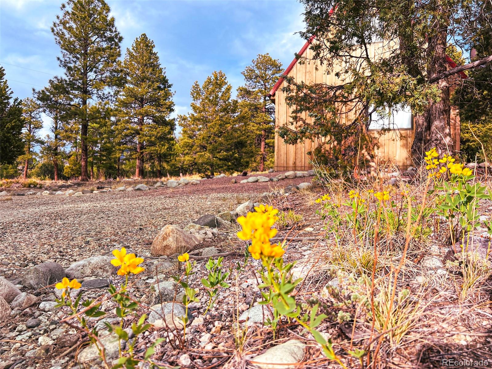 33 Big Bear Road Mosca, CO 81146 - Photo 15 of 29