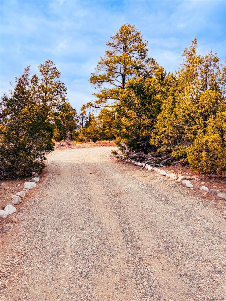 33 Big Bear Road Mosca, CO 81146 - Photo 17 of 29