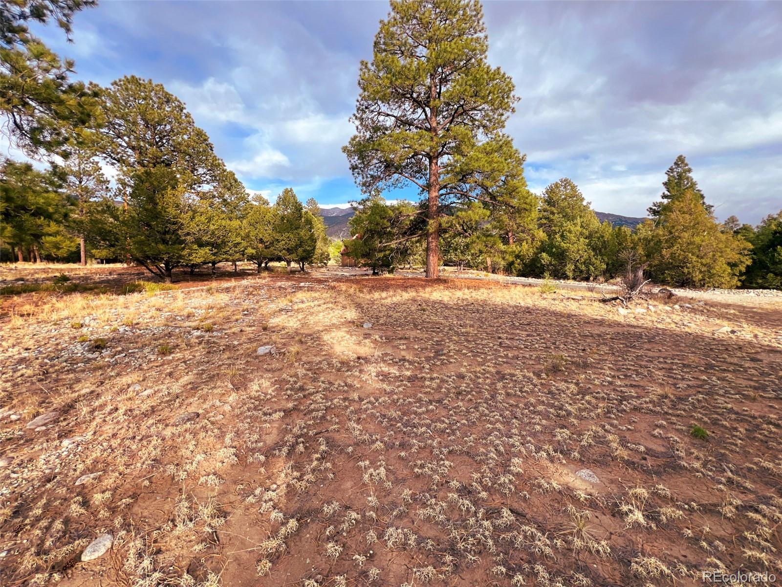 33 Big Bear Road Mosca, CO 81146 - Photo 19 of 29