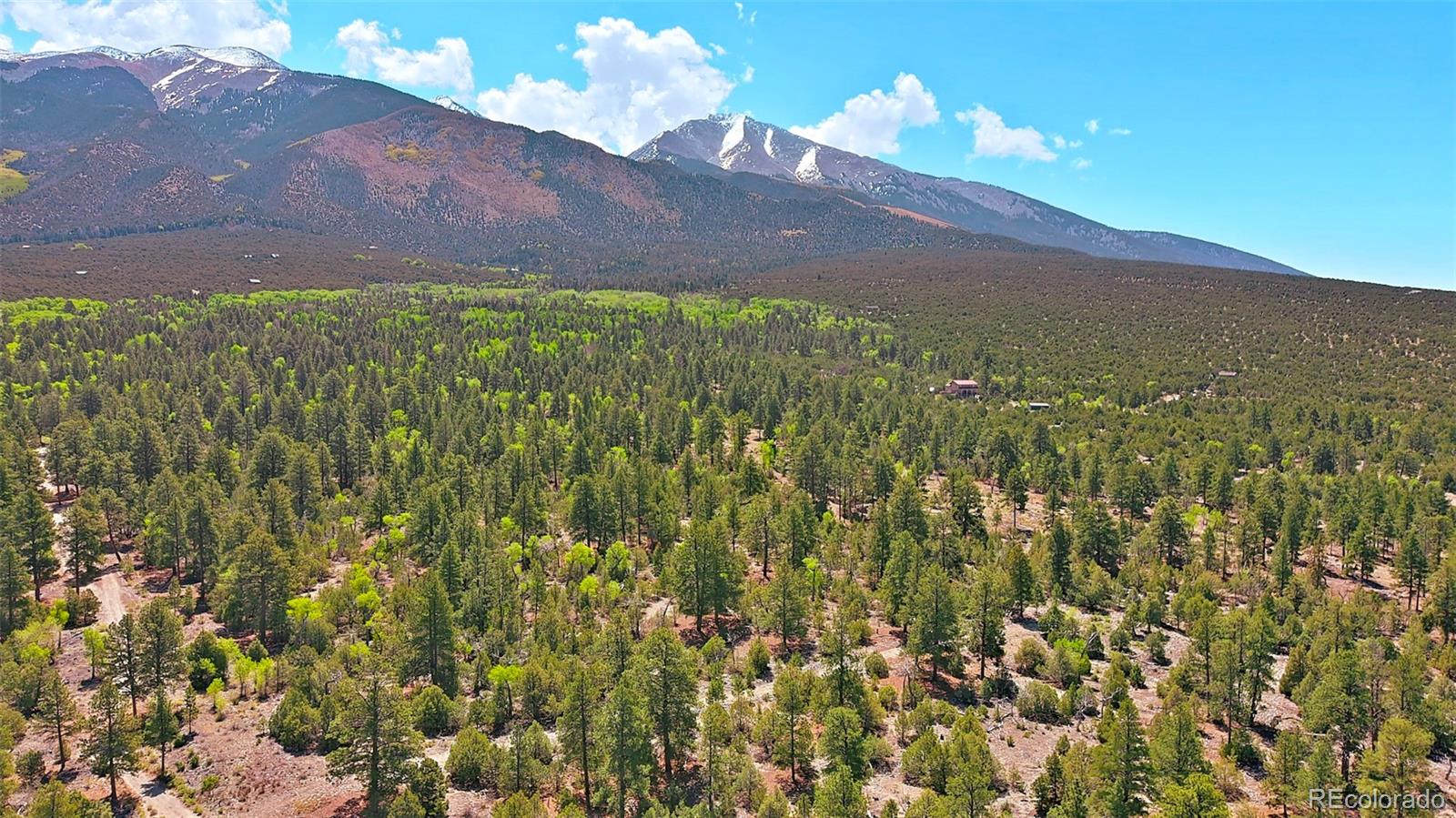 33 Big Bear Road Mosca, CO 81146 - Photo 26 of 29