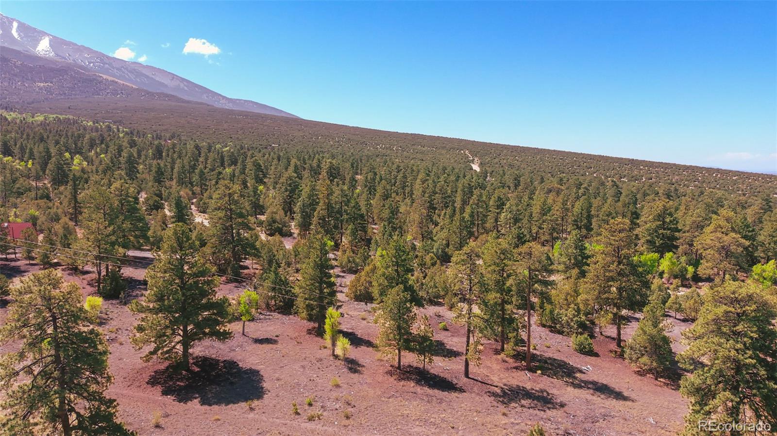 33 Big Bear Road Mosca, CO 81146 - Photo 27 of 29