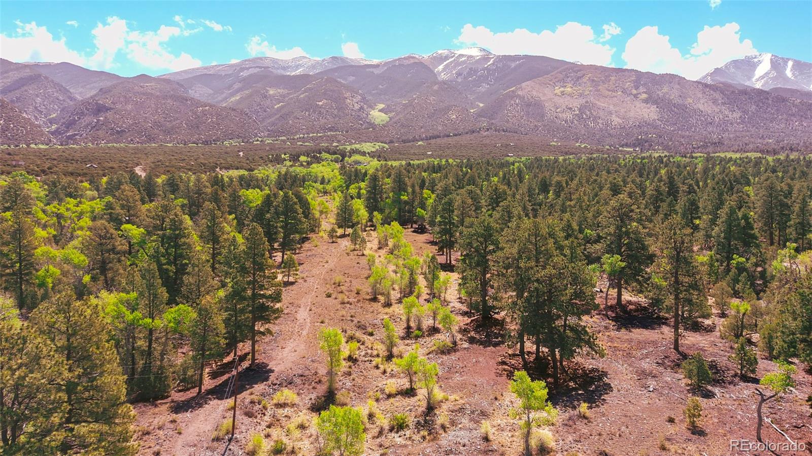 33 Big Bear Road Mosca, CO 81146 - Photo 28 of 29