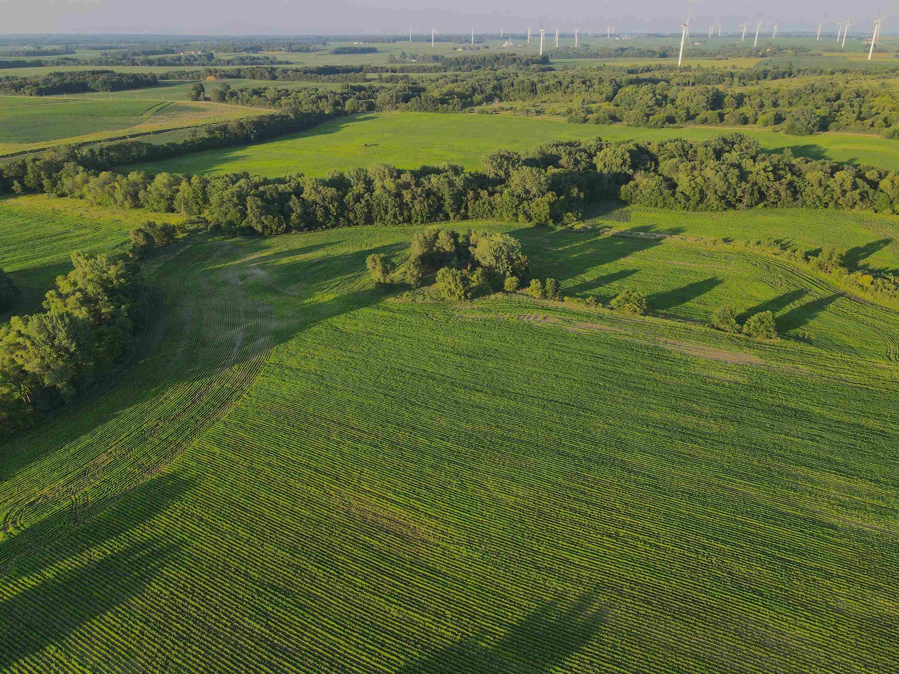 0 Todd Road Amboy, IL 61310 - Photo 14 of 58