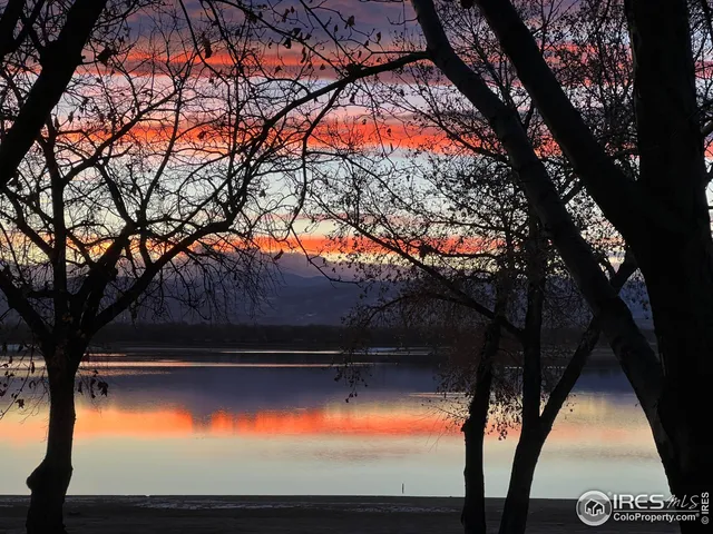 a view of backyard with trampoline