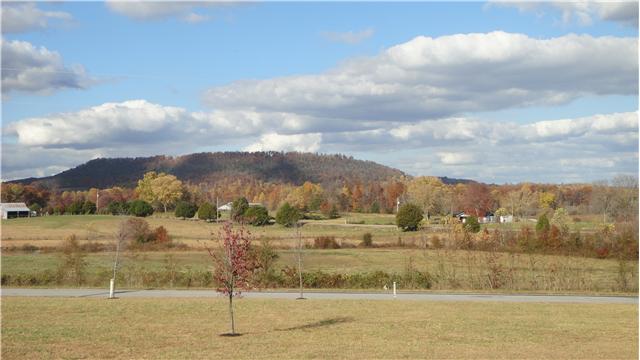 708 Barrett Road McMinnville, TN 37110 - Photo 15 of 20 Beautiful views from the front windows.