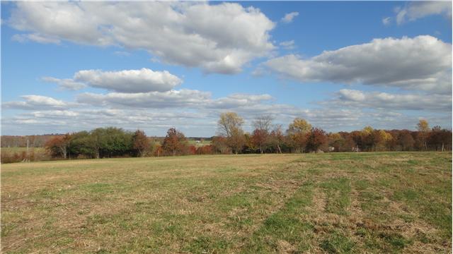 708 Barrett Road McMinnville, TN 37110 - Photo 18 of 20 Level back yard with view is great for entertaining friends and family.
