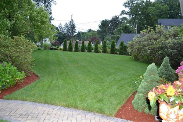 4 Fuller Road Chelmsford, MA 01824 - Photo 23 of 24 Gallery Image 23