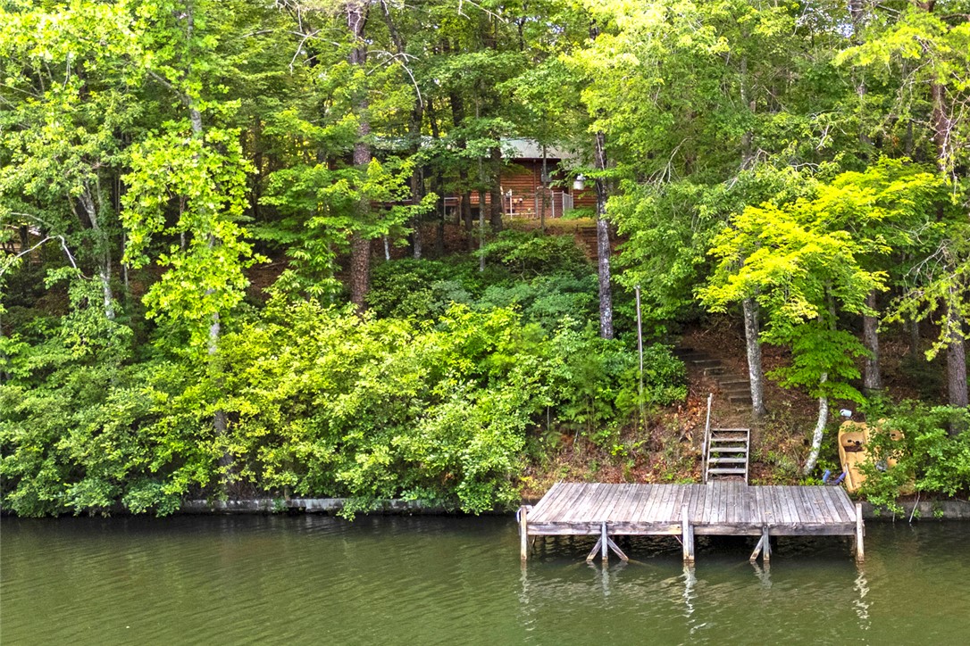 275 Lakeside Drive Mountain Rest, SC 29664 - Photo 29 of 39