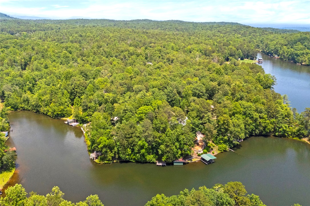 275 Lakeside Drive Mountain Rest, SC 29664 - Photo 30 of 39