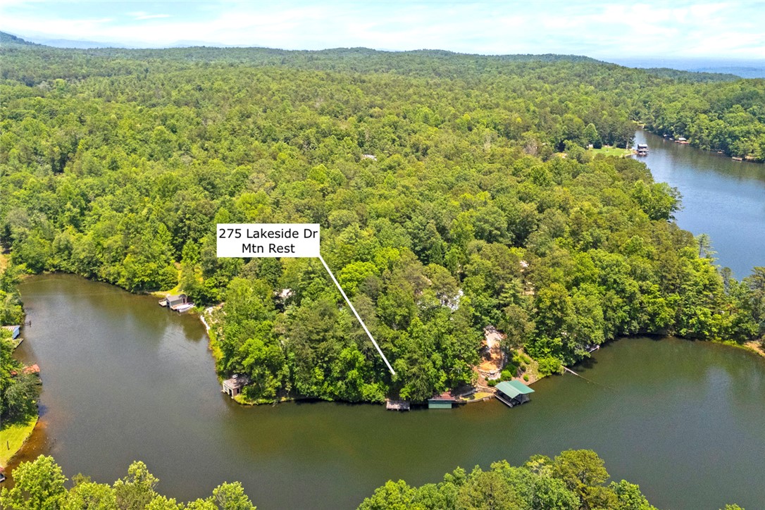275 Lakeside Drive Mountain Rest, SC 29664 - Photo 4 of 39