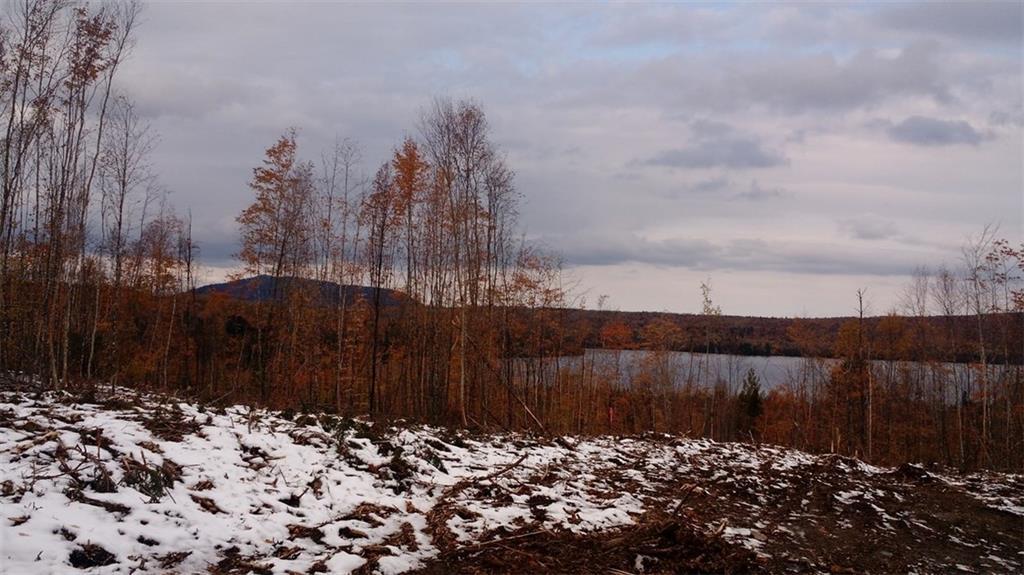 Lot 16 East Off Ackley Pond Rd Mount Mount Chase, ME 04765 - Photo 1 of 6 Photo