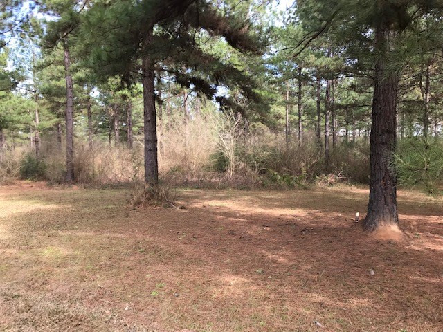 0 Bill Dier Road Tylertown, MS 39667 - Photo 3 of 13 Photo 3