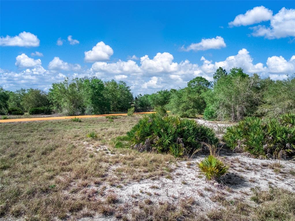 523 South Dickey Road Avon Park, FL 33825 - Photo 8 of 10 Gallery Image 8