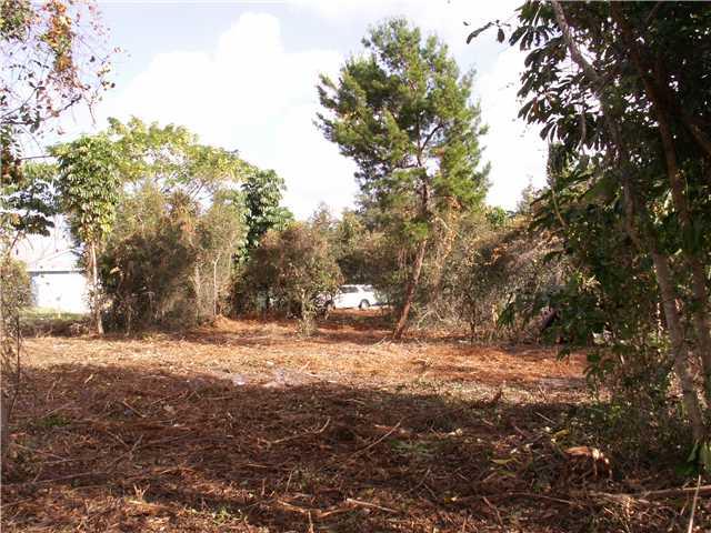 0 Southeast Lyons Road Hobe Sound, FL 33455 - Photo 3 of 10 Gallery Image 3