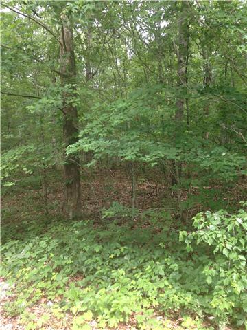1 Bowling Alley Road Manchester, TN 37355 - Photo 1 of 1 Gallery Image 1