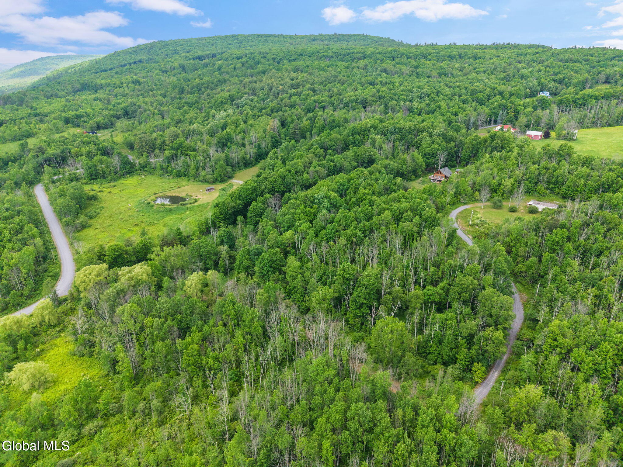 127 Grassy Road Blenheim, NY 12131 - Photo 43 of 44 44-127GrassyRd_44